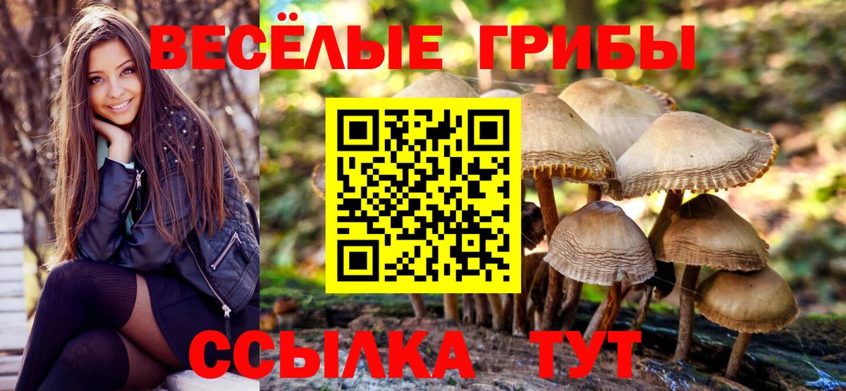 Галлюциногенные грибы прущие грибы Костомукша