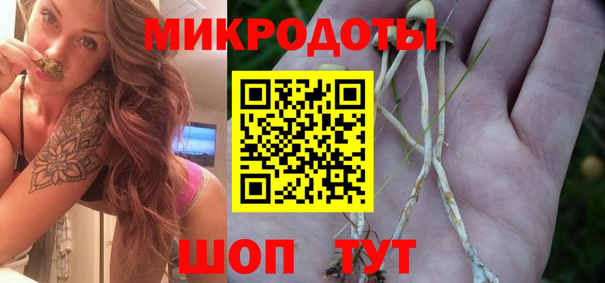 Галлюциногенные грибы MAGIC MUSHROOMS  Вход с VPN  Костомукша 